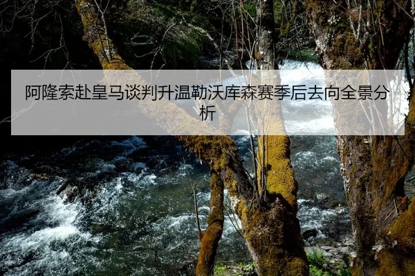阿隆索赴皇马谈判升温勒沃库森赛季后去向全景分析